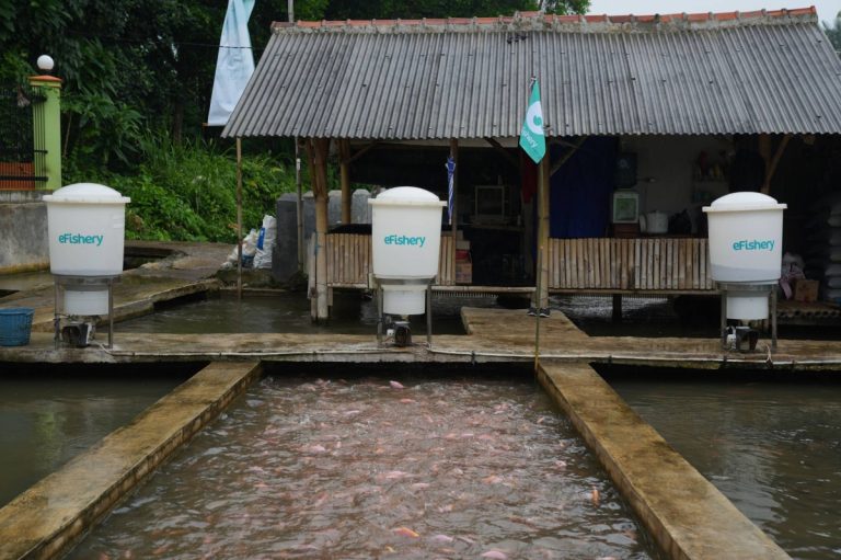 Efishery लगानीकर्ताहरु बीच सॉफ्टब्याक